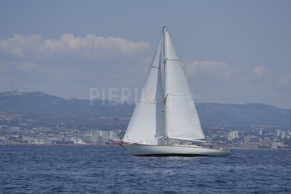 VVP_2023-01252.jpg