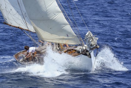 O60A1552.jpg