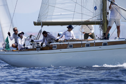 VVP_2023-7688.jpg