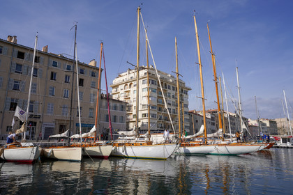 DSC09448.jpg
