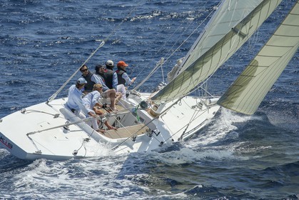 A29X1549.jpg