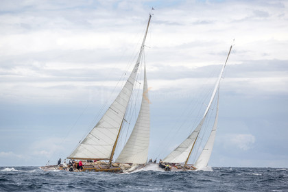 O60A2184.jpg