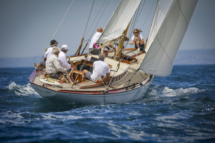 A29X9384.jpg