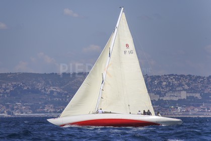 A29X9024.jpg