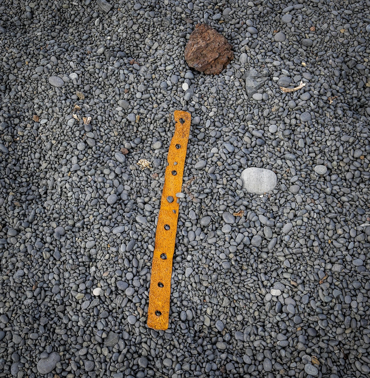 A29X3634.jpg