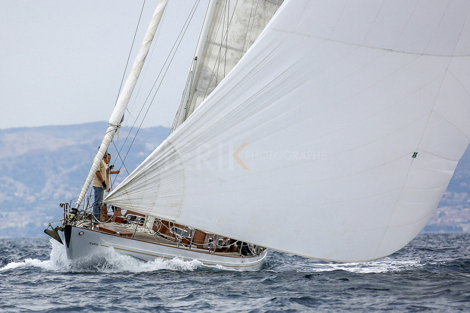 VireVire2014-200.jpg