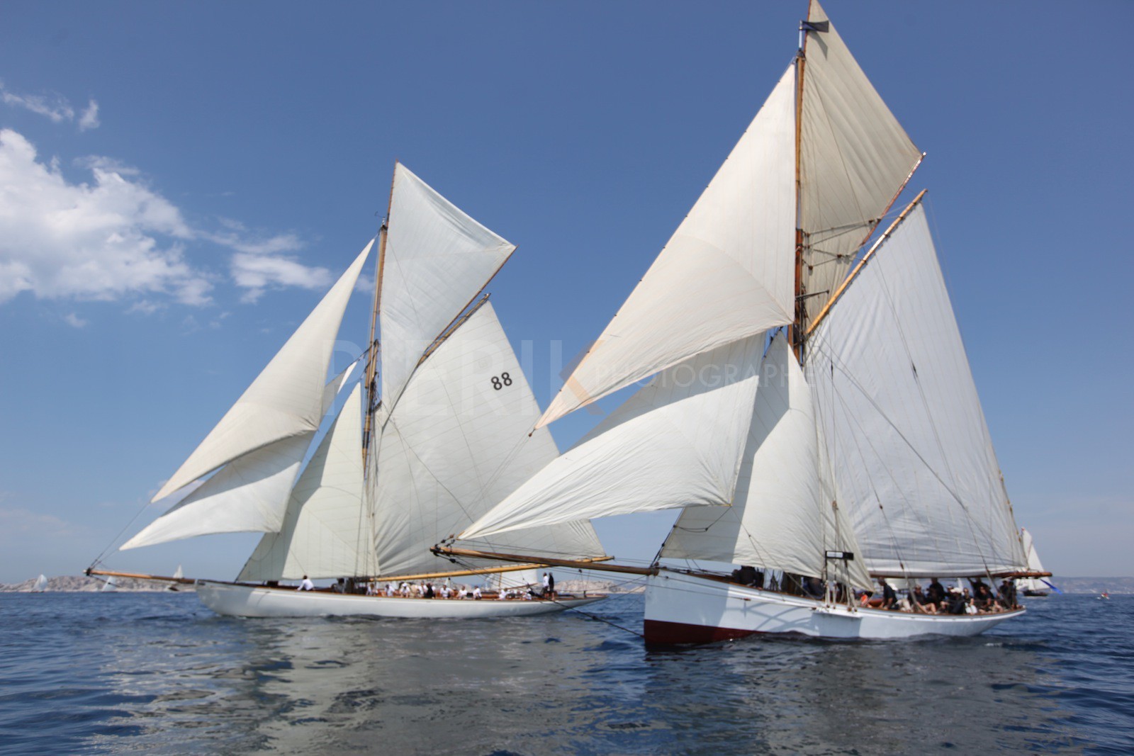 Partridge et Moonbeam of Fife