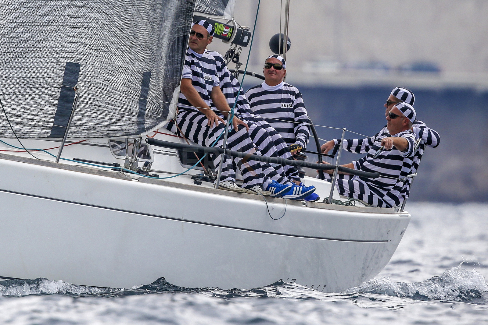 VireVire2014-60.jpg
