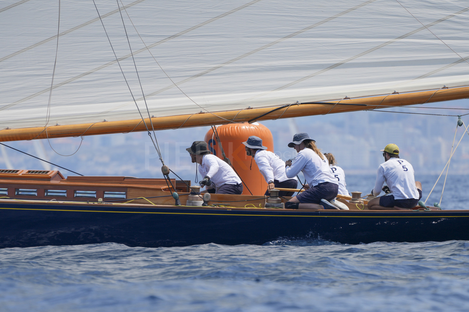 VVP_2023-07760.jpg