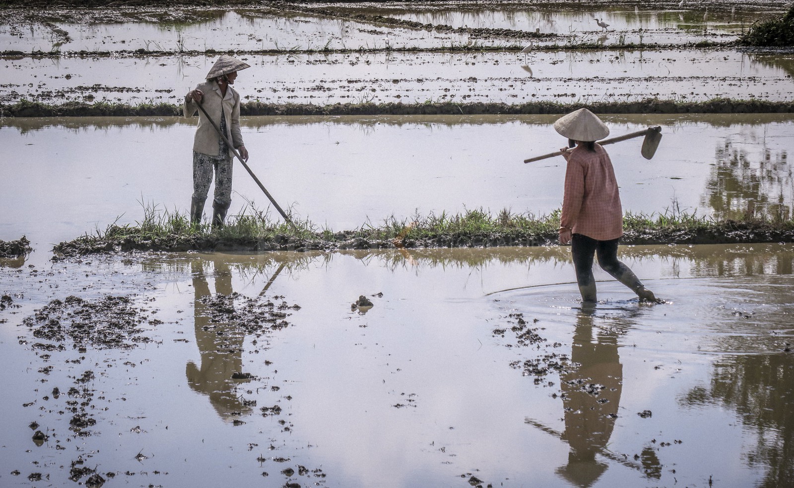 Hoi An-22.jpg