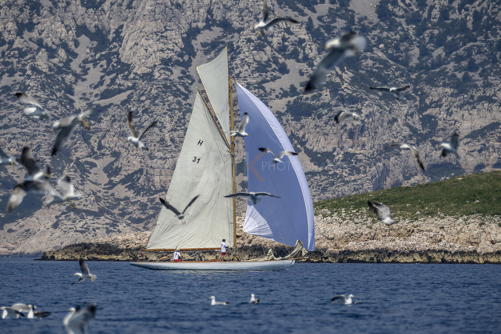 A29X2617.jpg