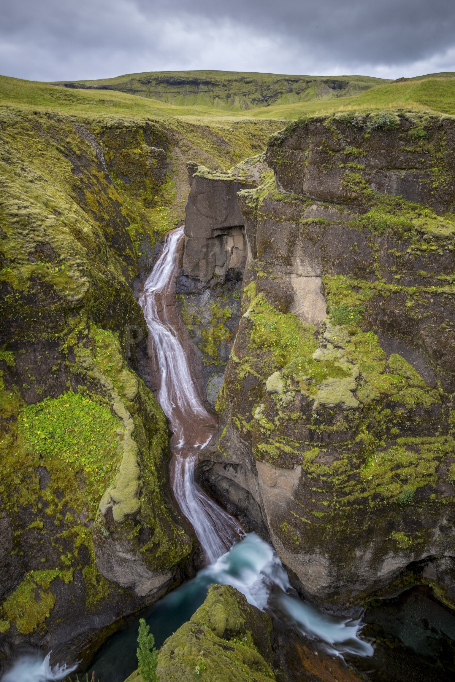 A29X4499.jpg