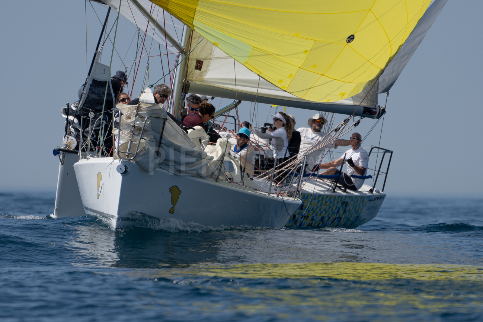 DSC02116.jpg