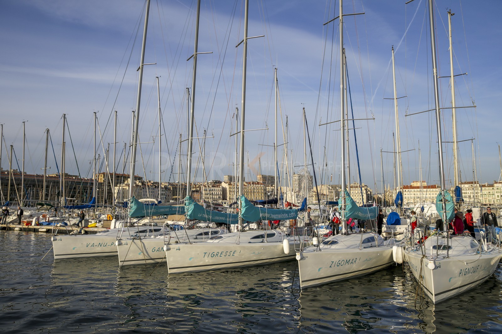 A29X0456.jpg