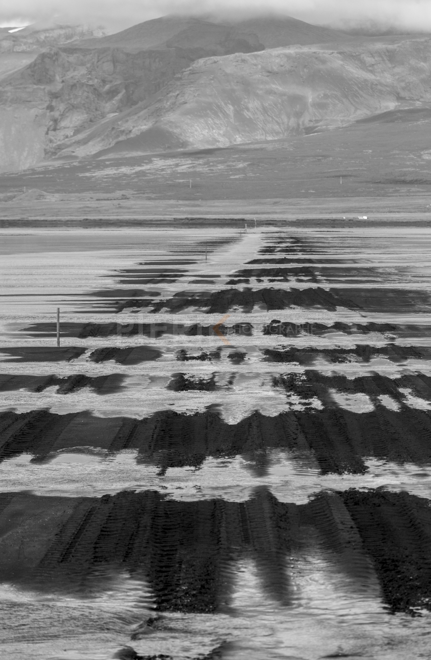 A29X4843.jpg
