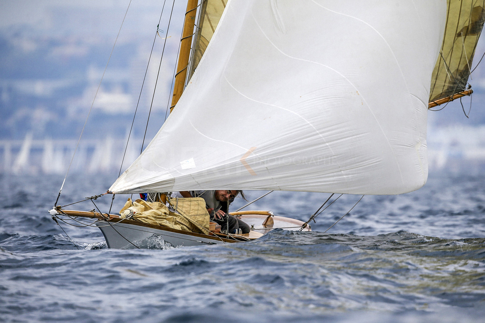 VireVire2014-151.jpg
