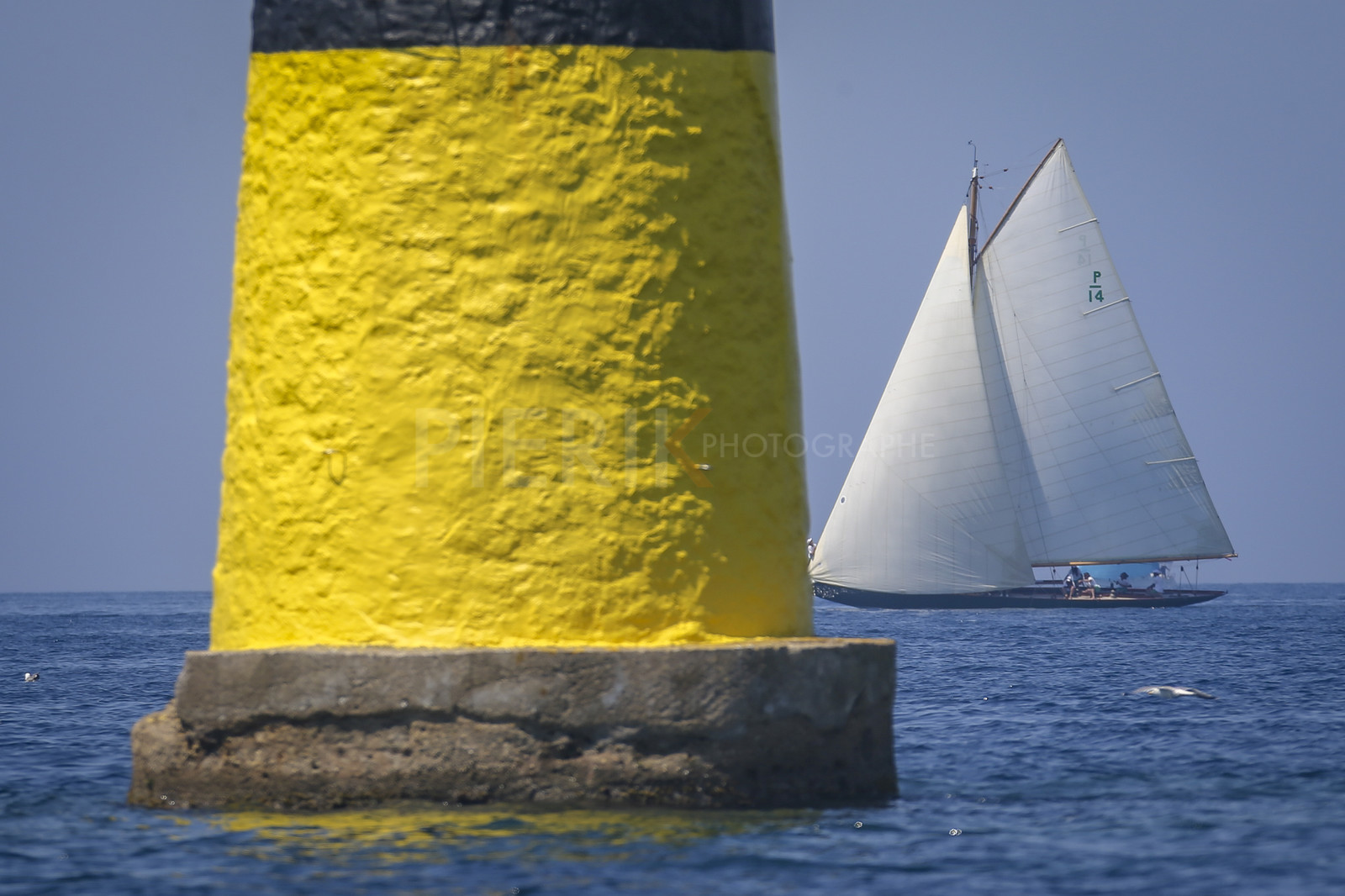 A29X7230.jpg