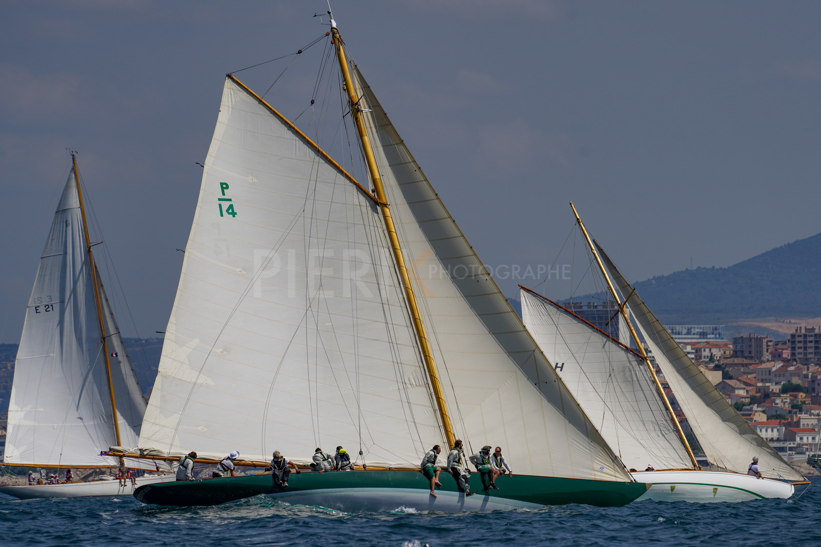 DSC09494.jpg