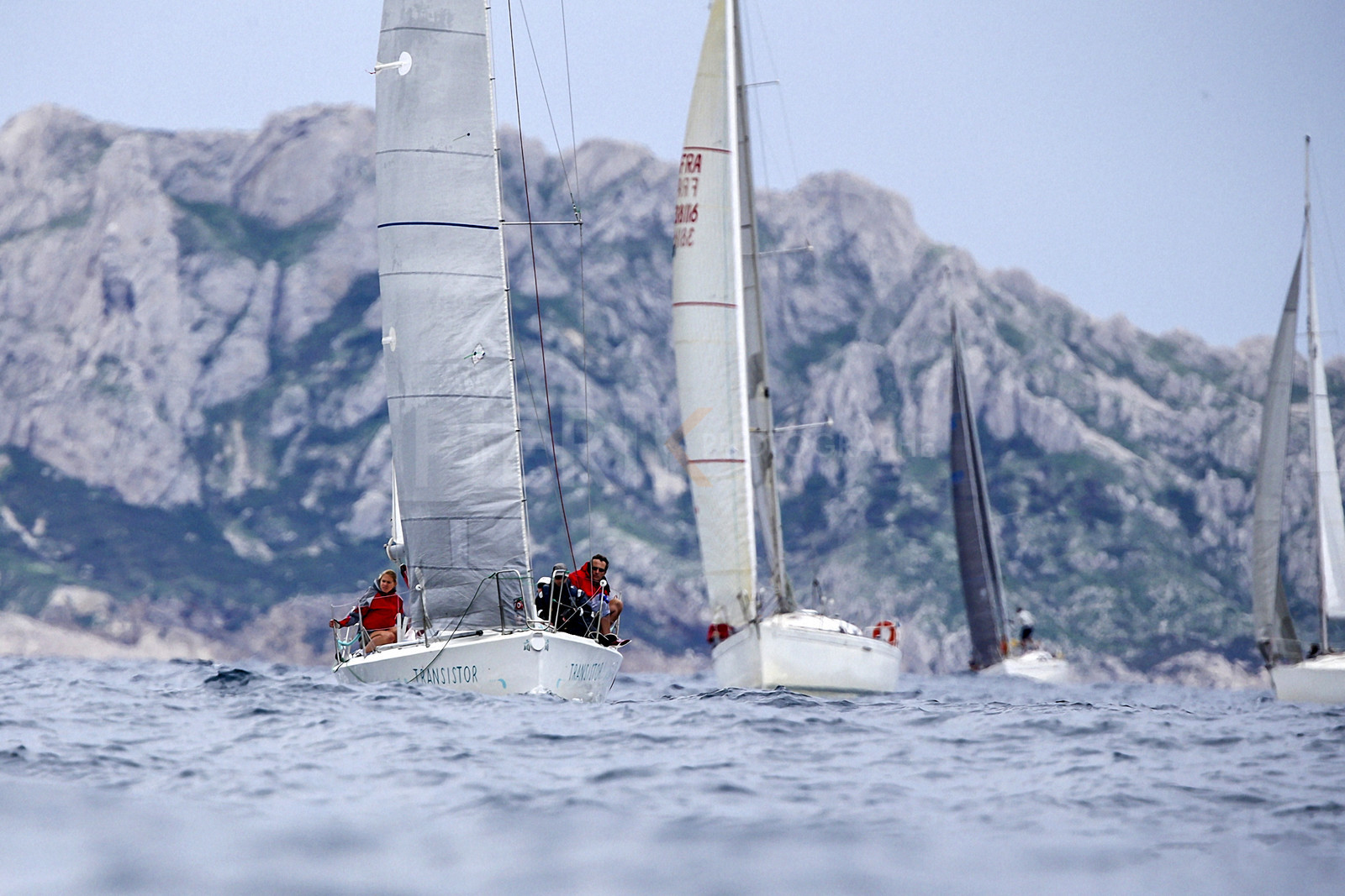 VireVire2014-294.jpg