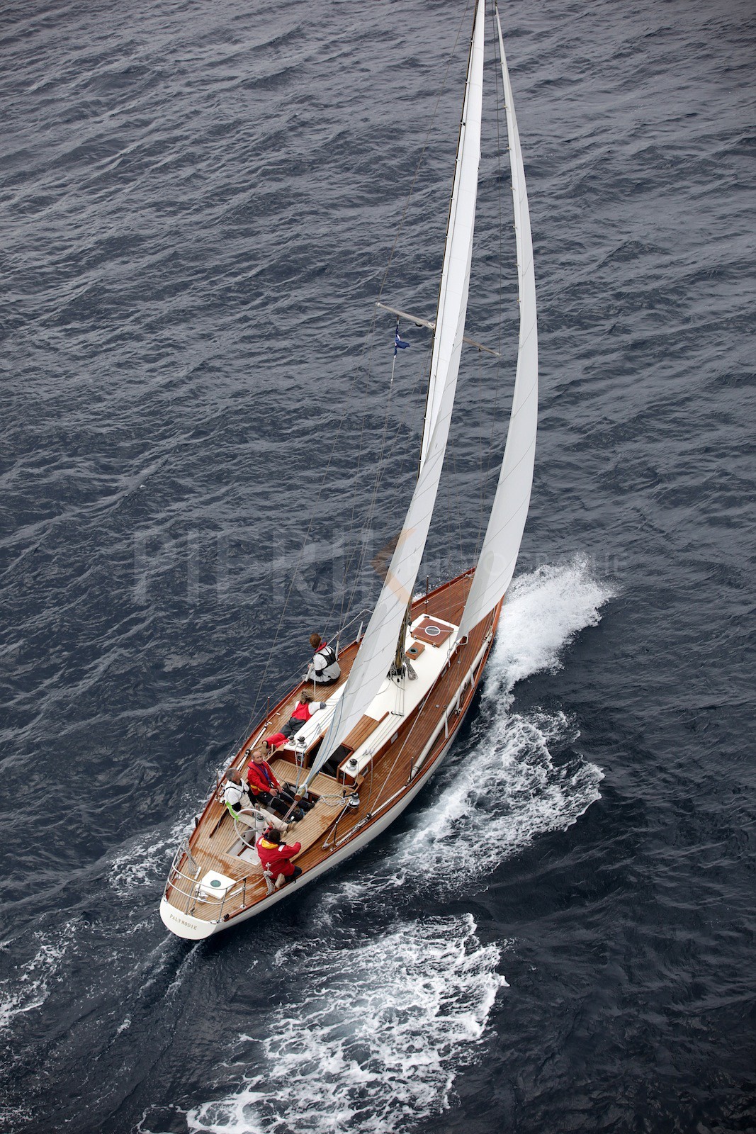 Palynodie II