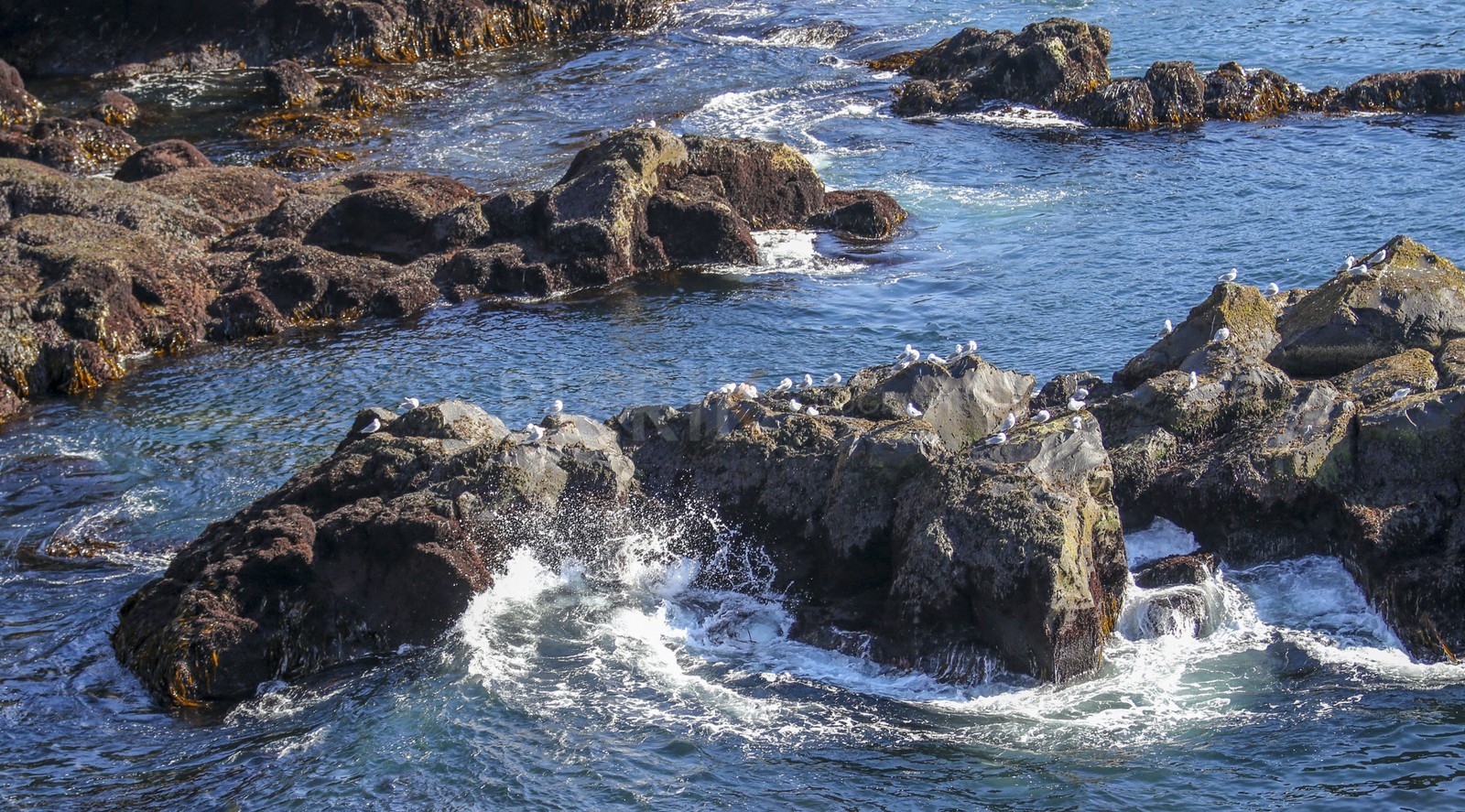 A29X3524.jpg
