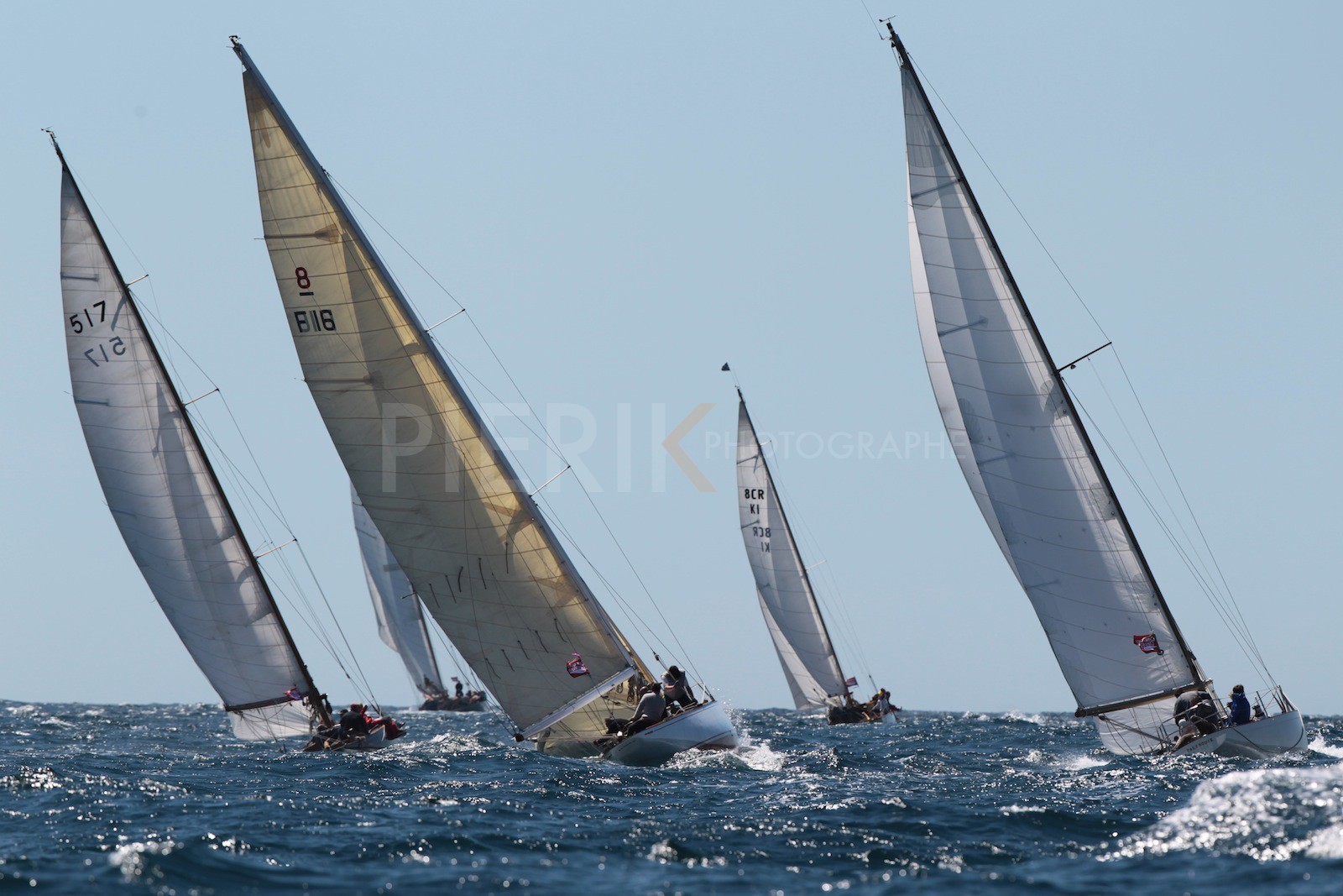 Palynodie, Rainbow et lak