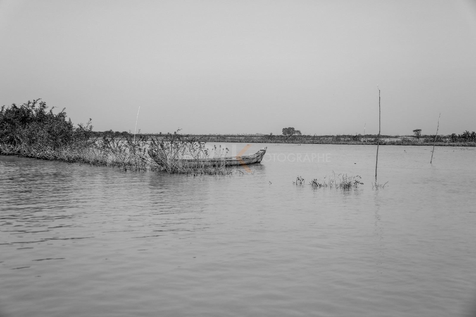 08122013-BL6A1233.jpg