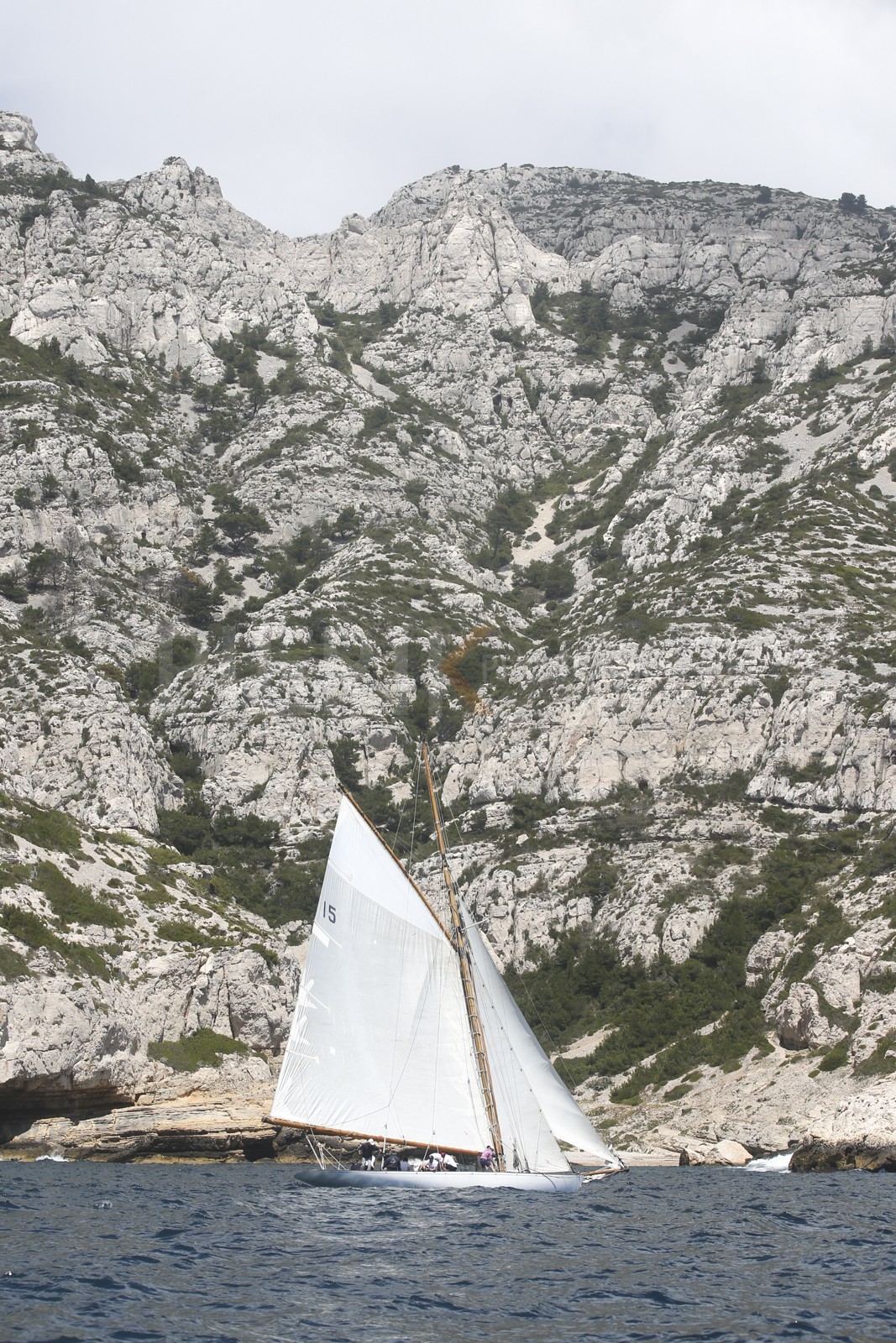 A29X6704.jpg