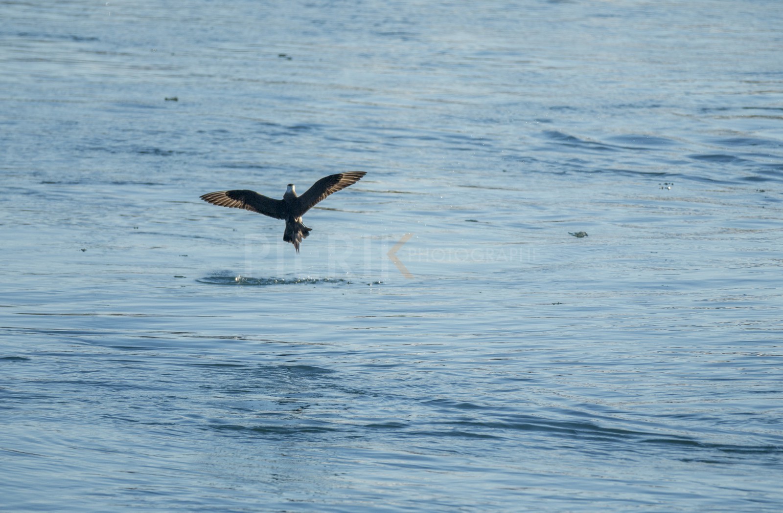 A29X4763.jpg