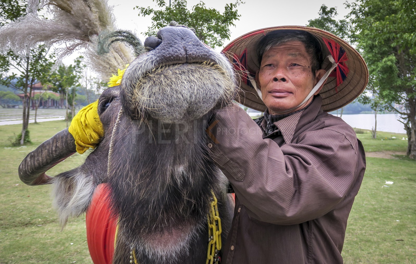 Tam Coc-32.jpg