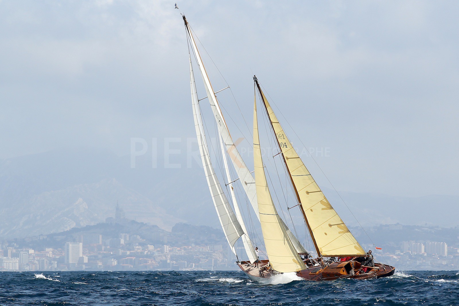 Windhover