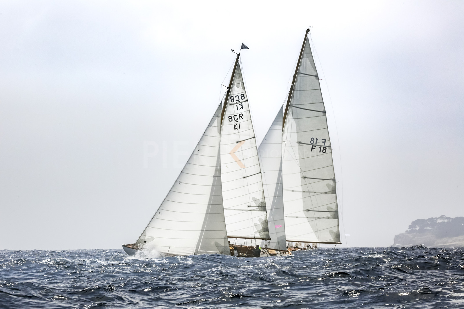 O60A2329.jpg