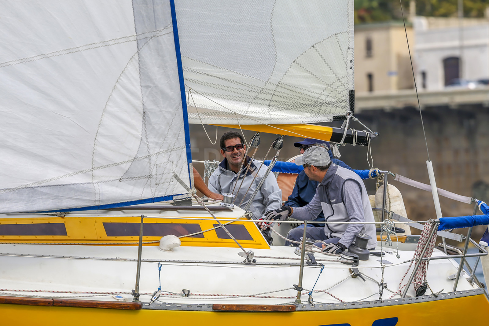 VireVire2014-15.jpg
