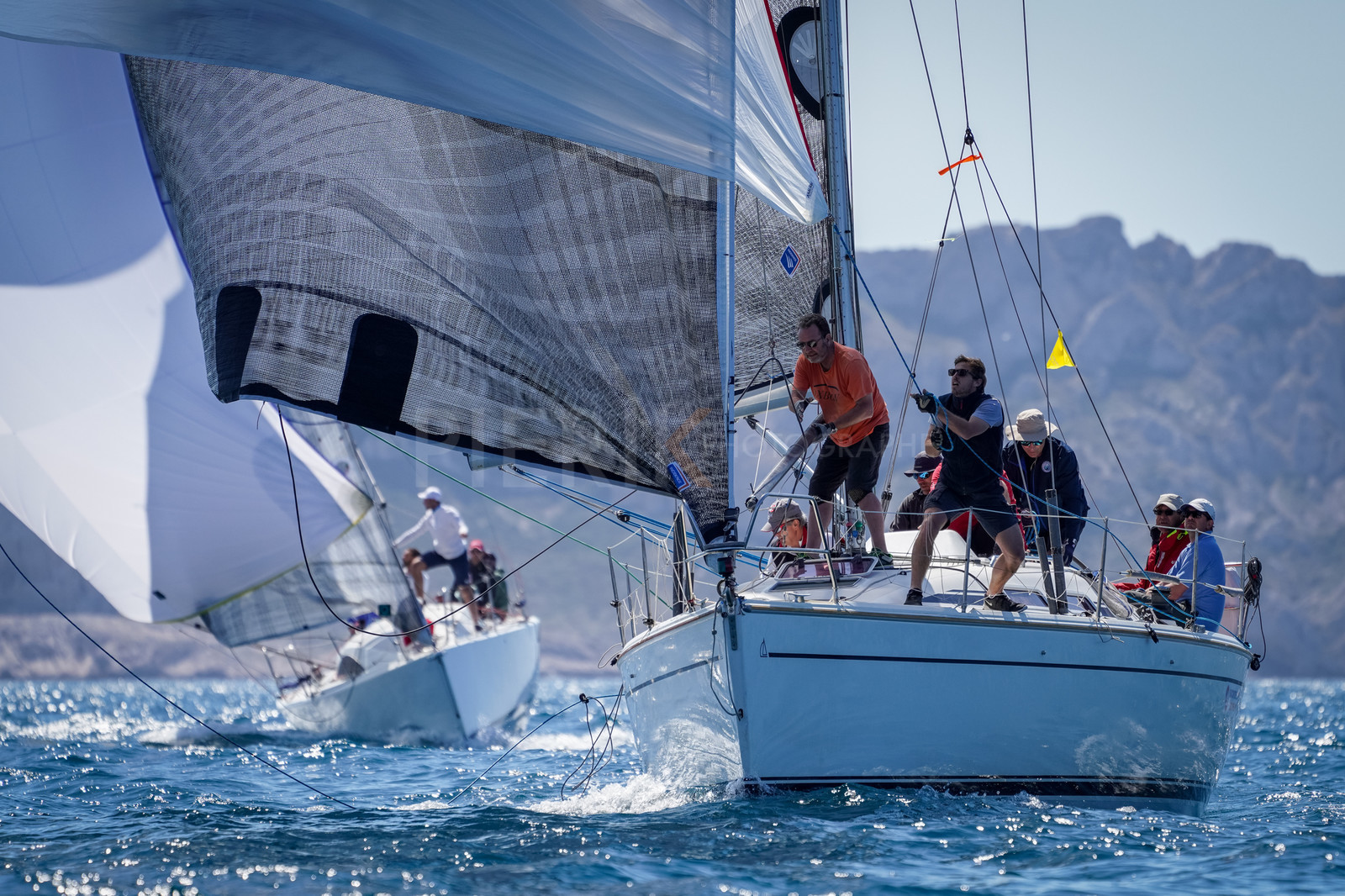 SNIM_J3 2022-02851.jpg