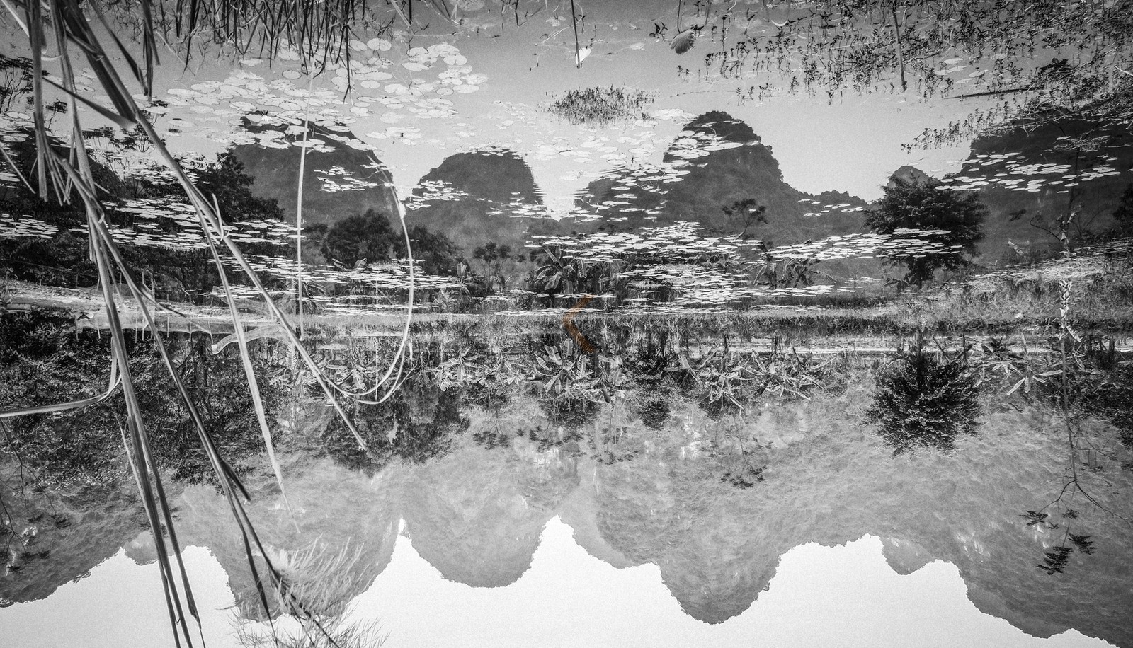 Tam Coc-25.jpg