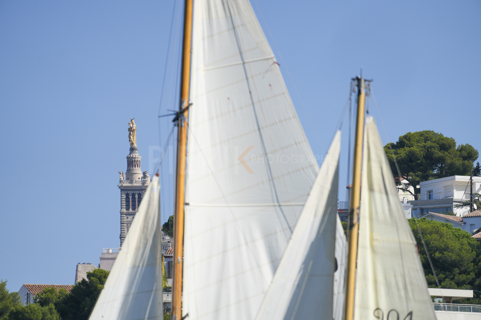 DSC00710.jpg