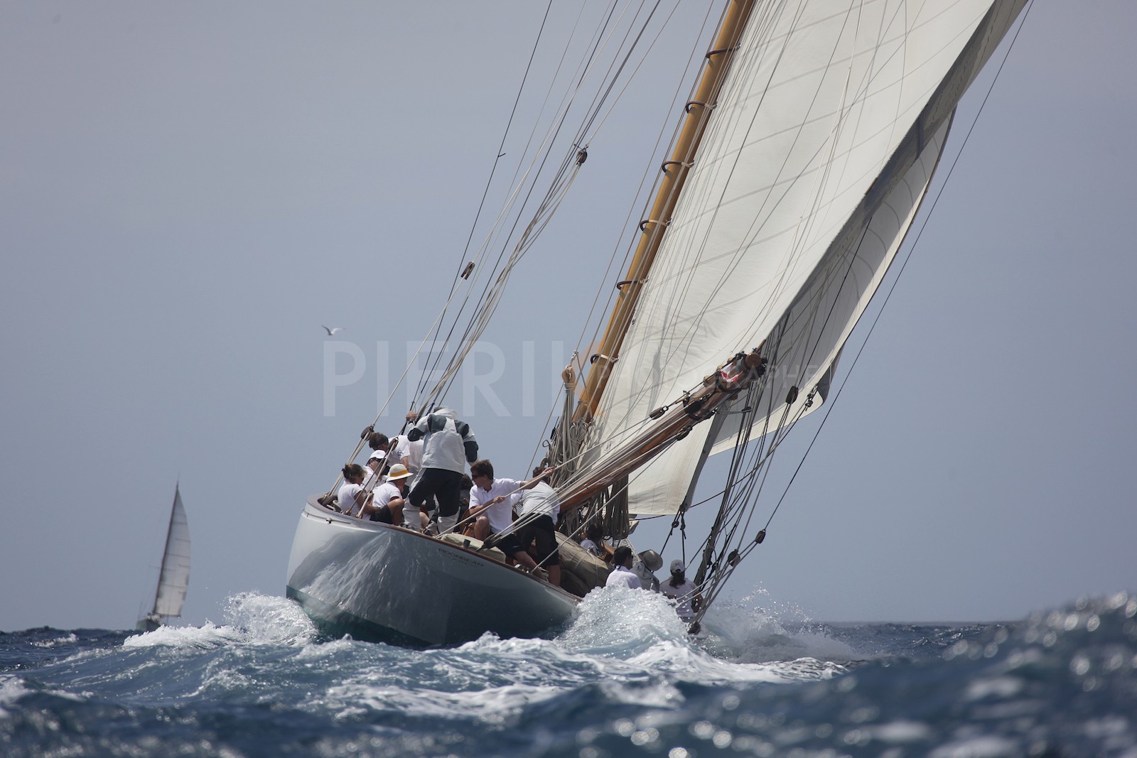 Moonbeam of Fife, Barcelona 2012