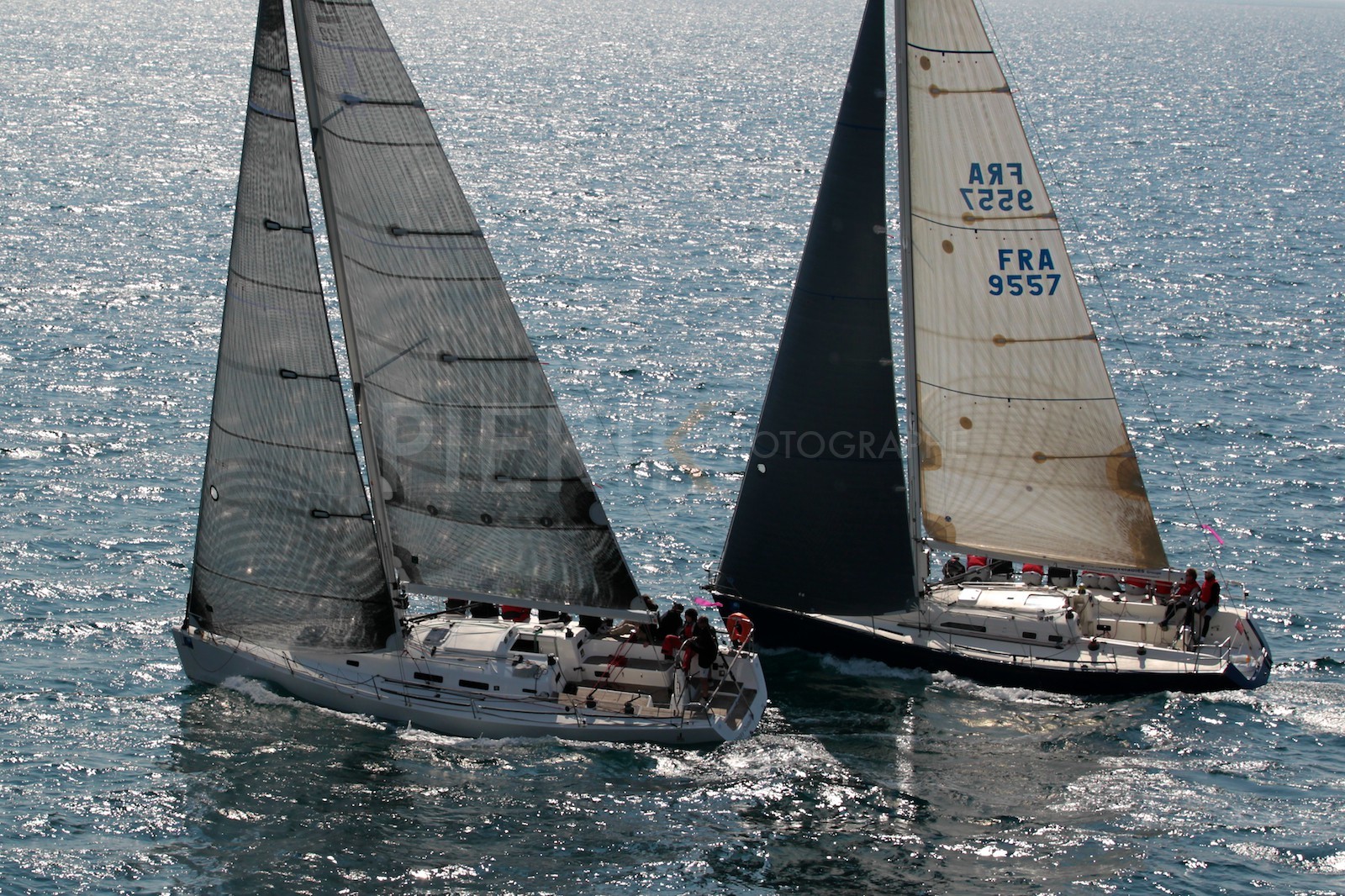 Noisy Oyster vs SL Energies Renouvelables