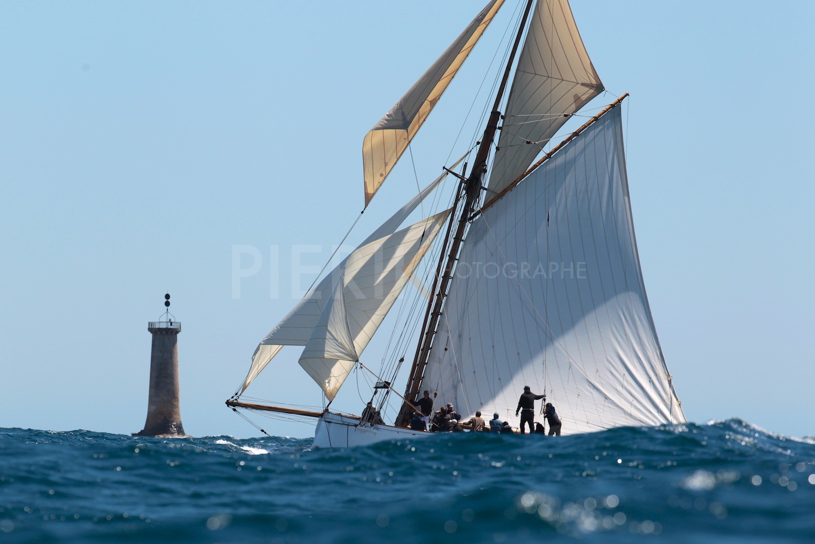 Partridge à la Cassidaigne