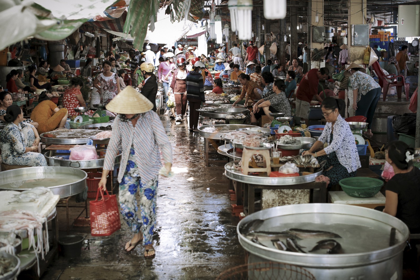 BenTre.jpg