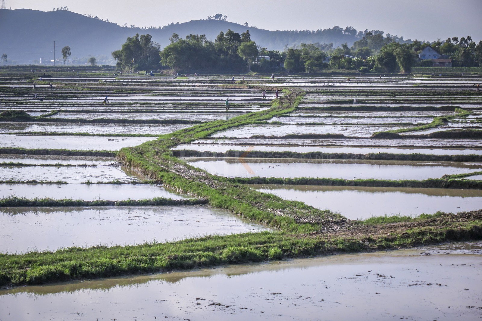 Hoi An-43.jpg