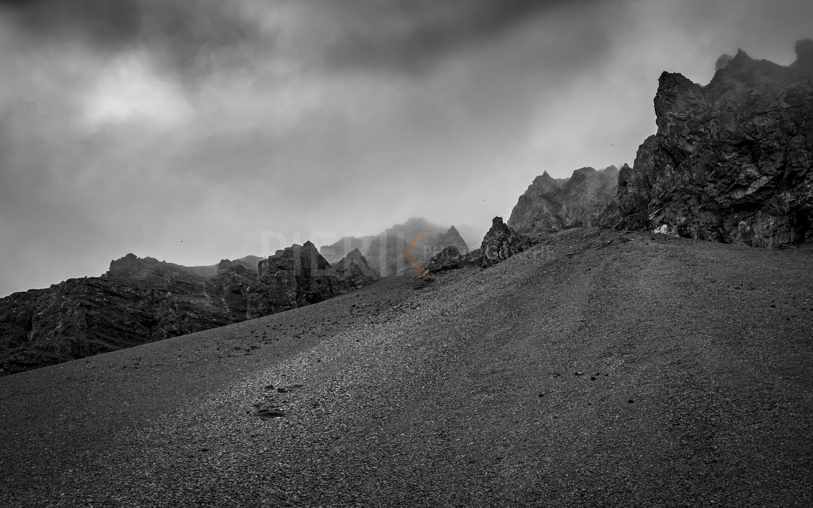 O60A9508.jpg