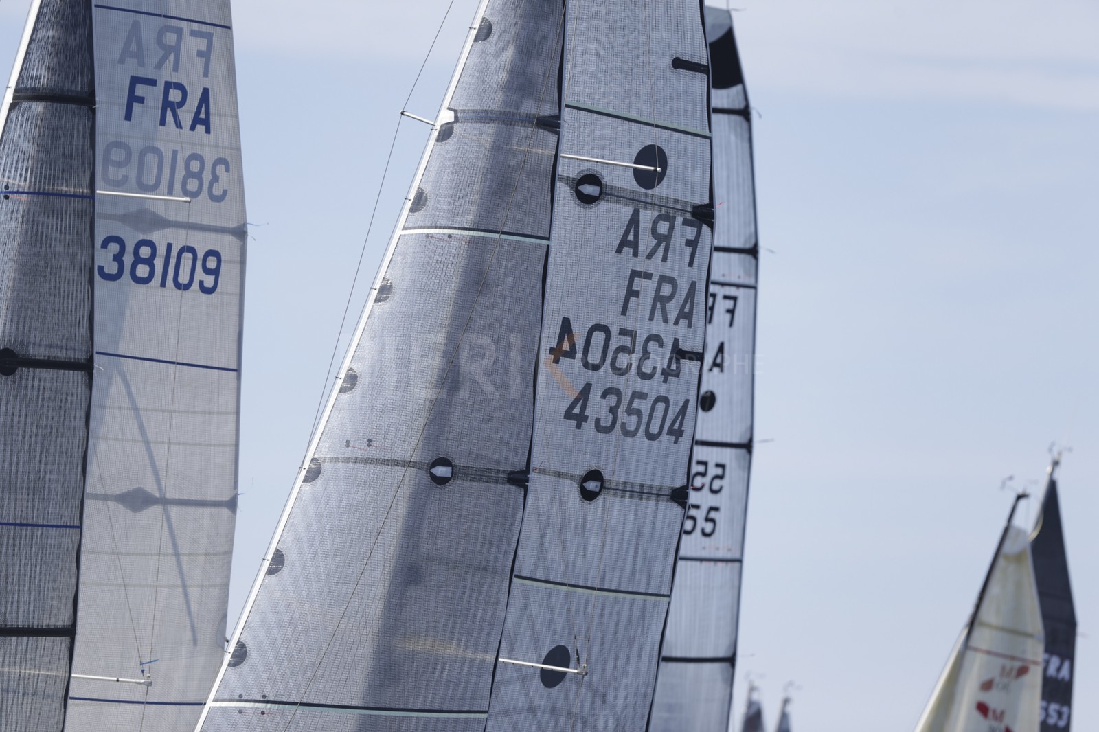 A29X9596.jpg