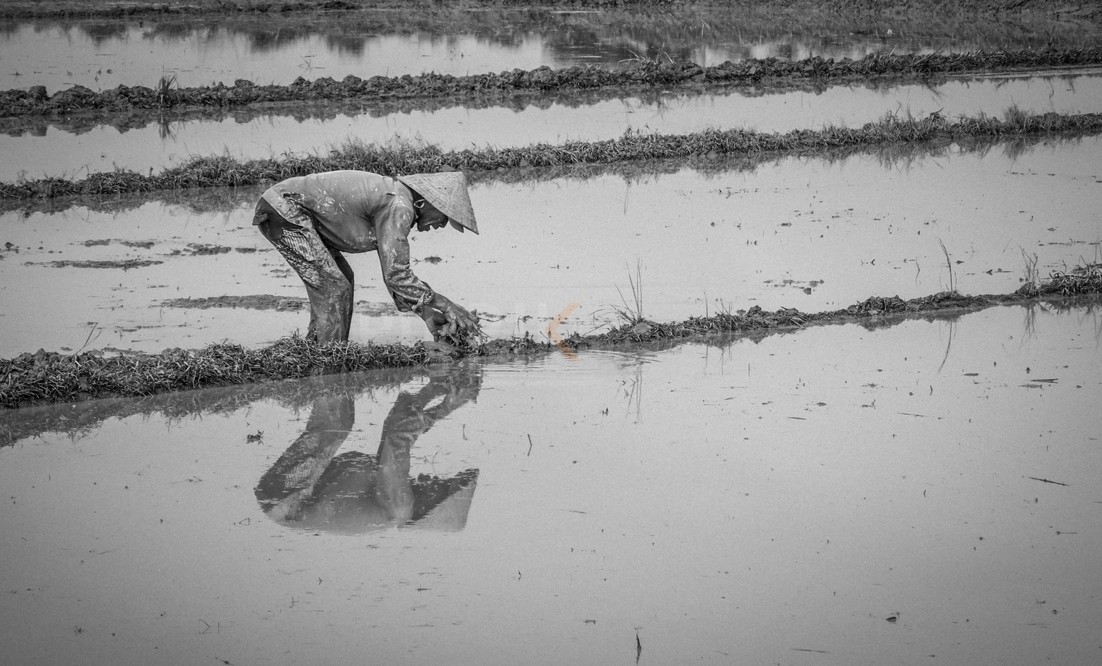 Hoi An-15.jpg