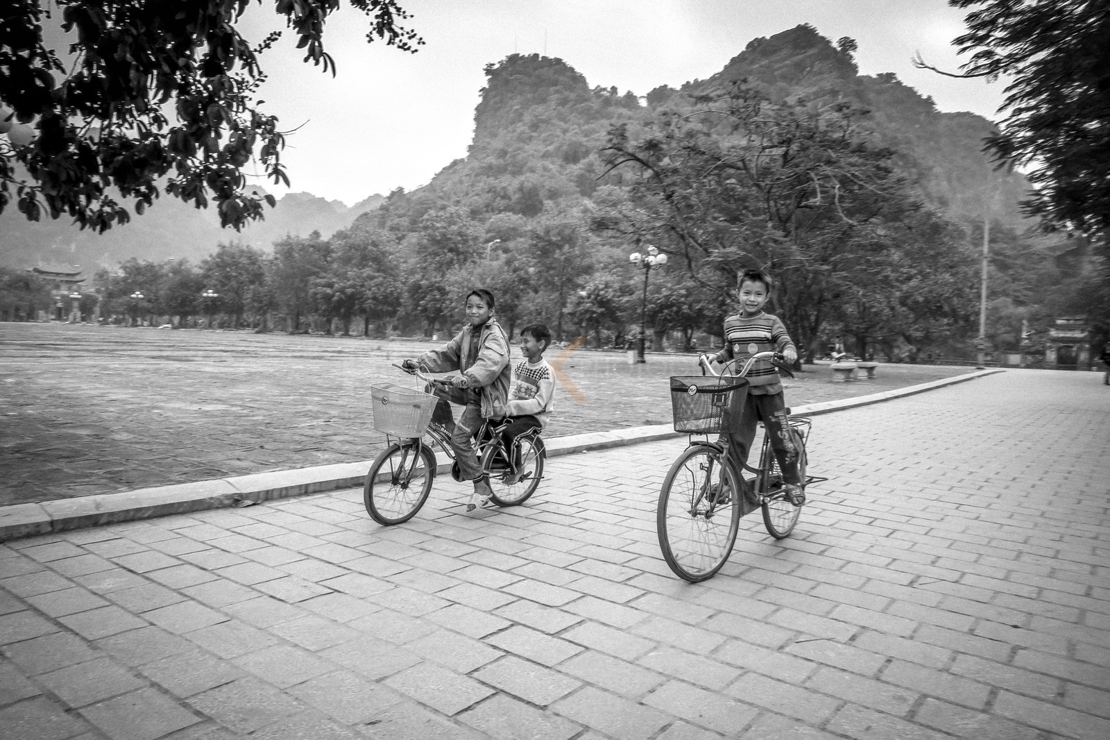 Tam Coc-35.jpg