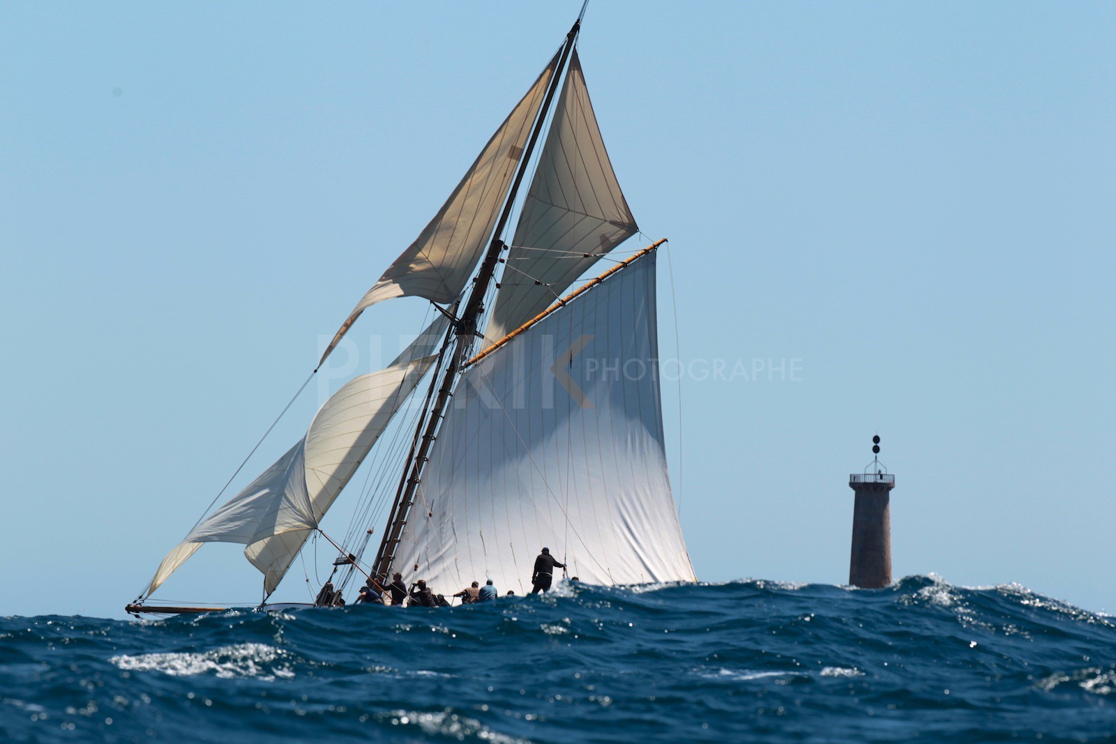 Partridge à la Cassidaigne