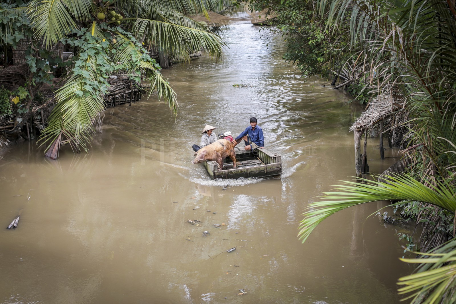 BenTre-25.jpg