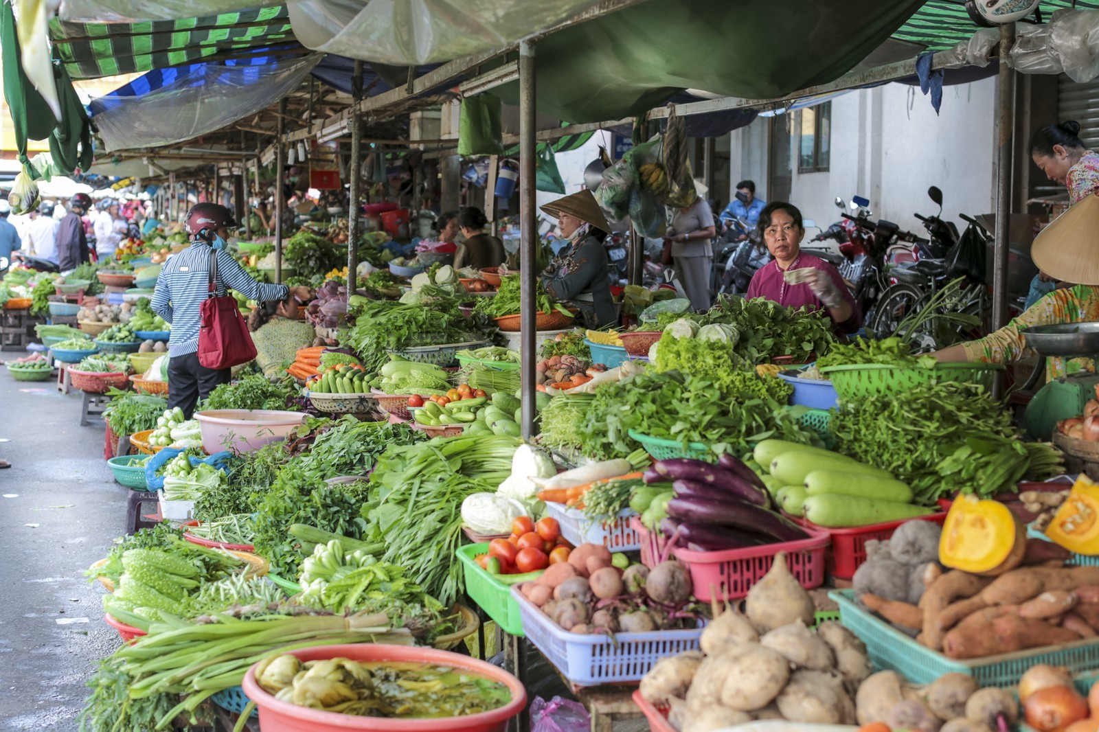 BenTre-12.jpg