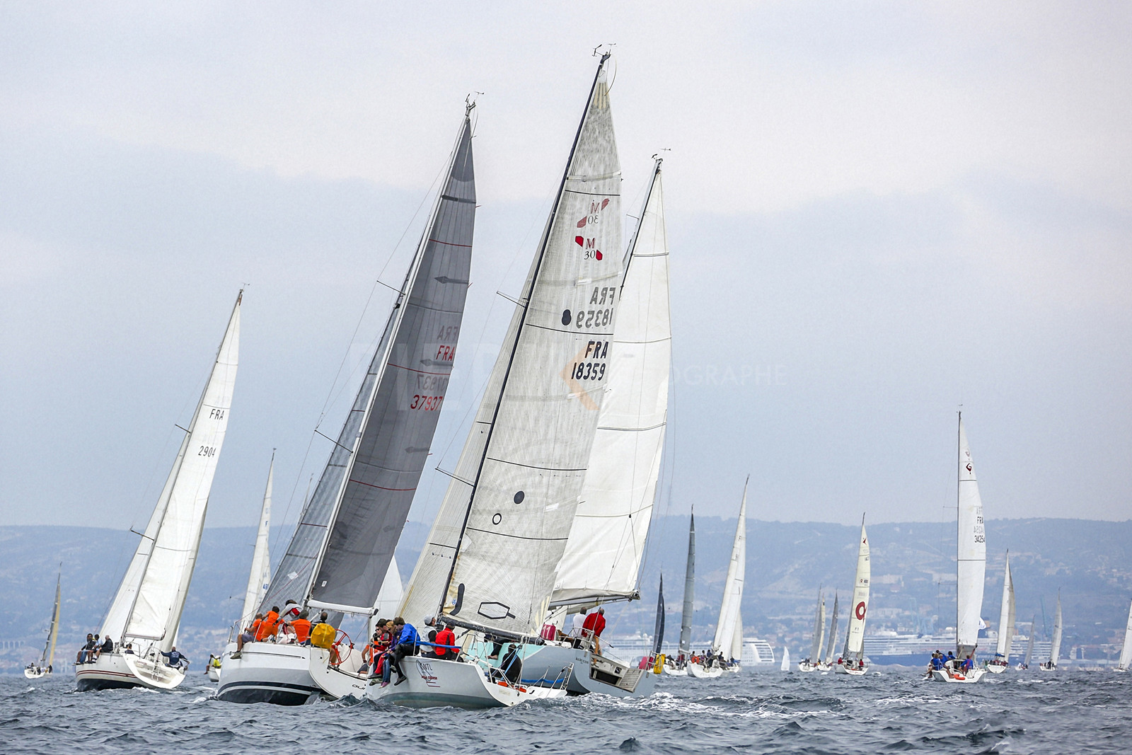 VireVire2014-147.jpg