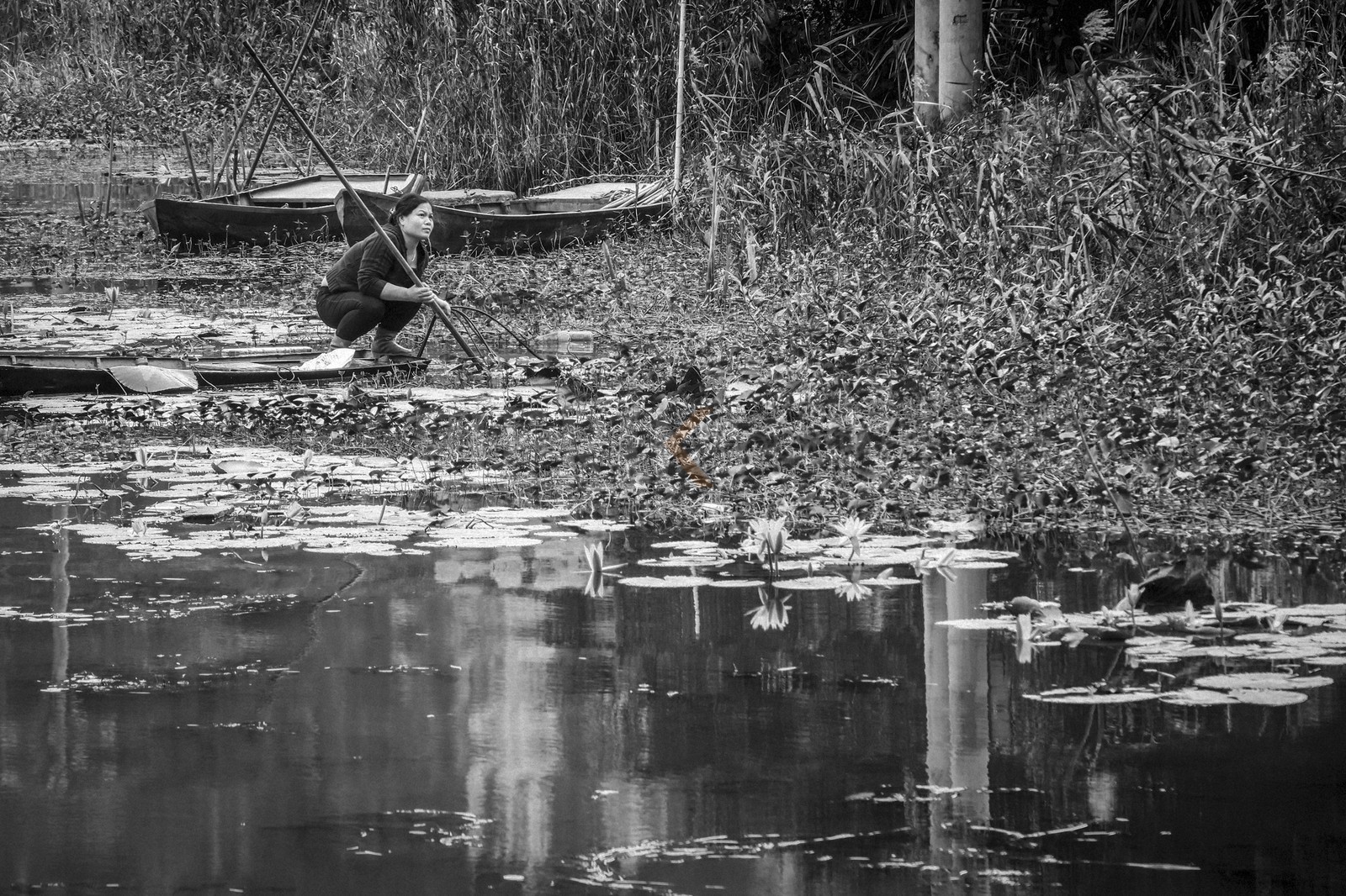 Tam Coc-29.jpg